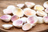 cockle shells